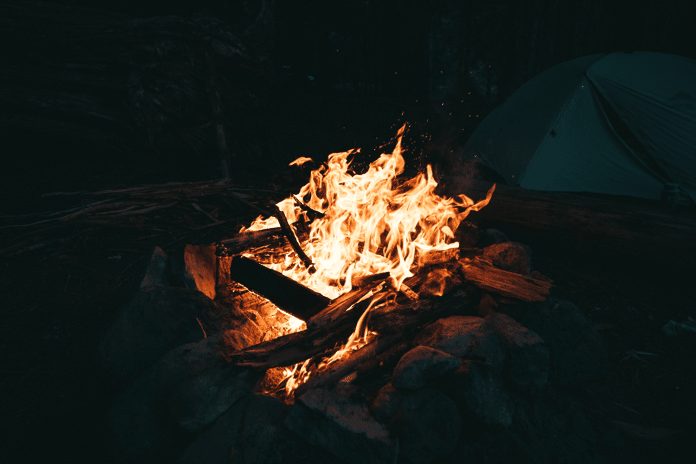 /assets/www.huntingsmart.com/wp-content/uploads/2020/07/kal-loftus-763967-unsplash.png