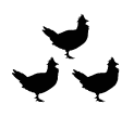 Silhouettes of three small game birds